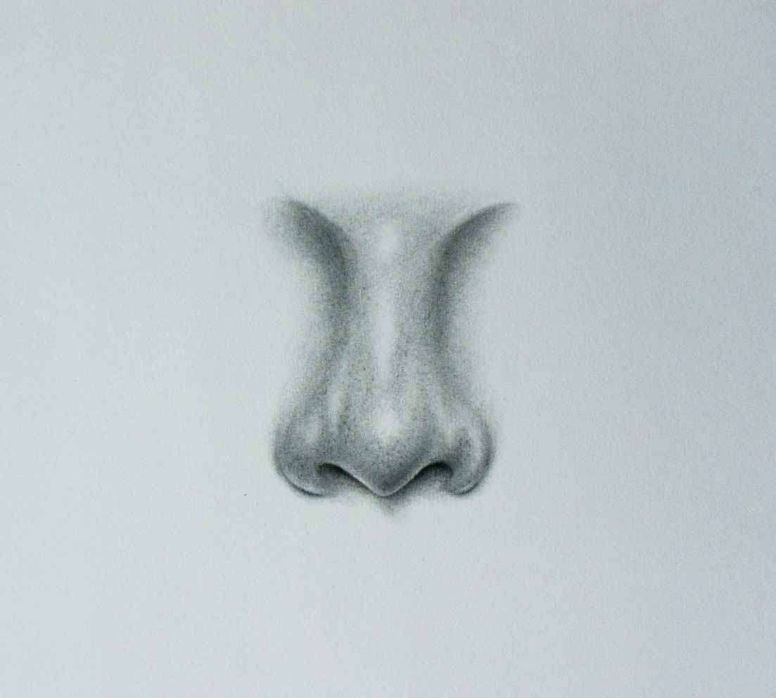 How To Draw a NOSE Step By Step - Unique Art Blogs