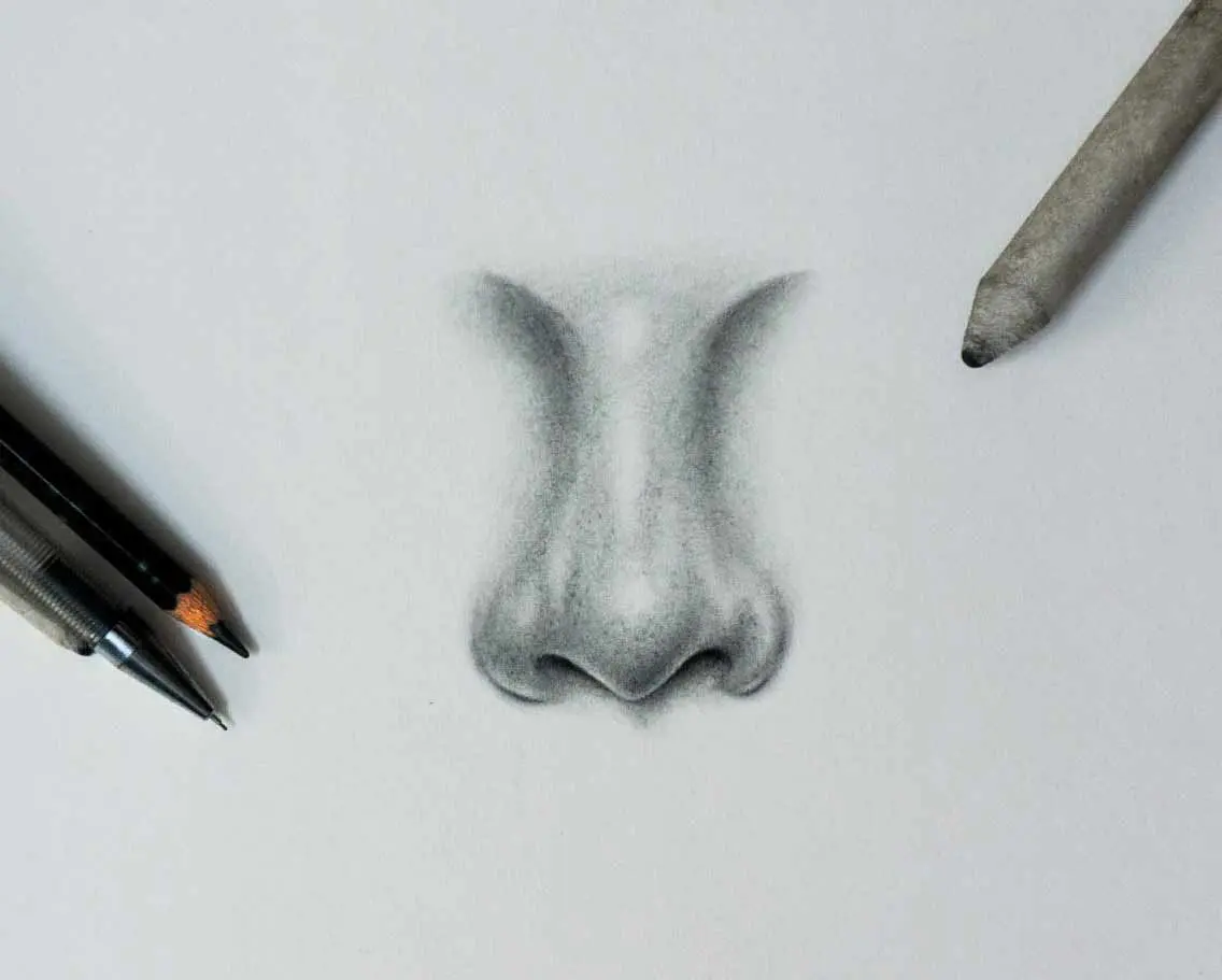 How to draw a nose  Artist Hue