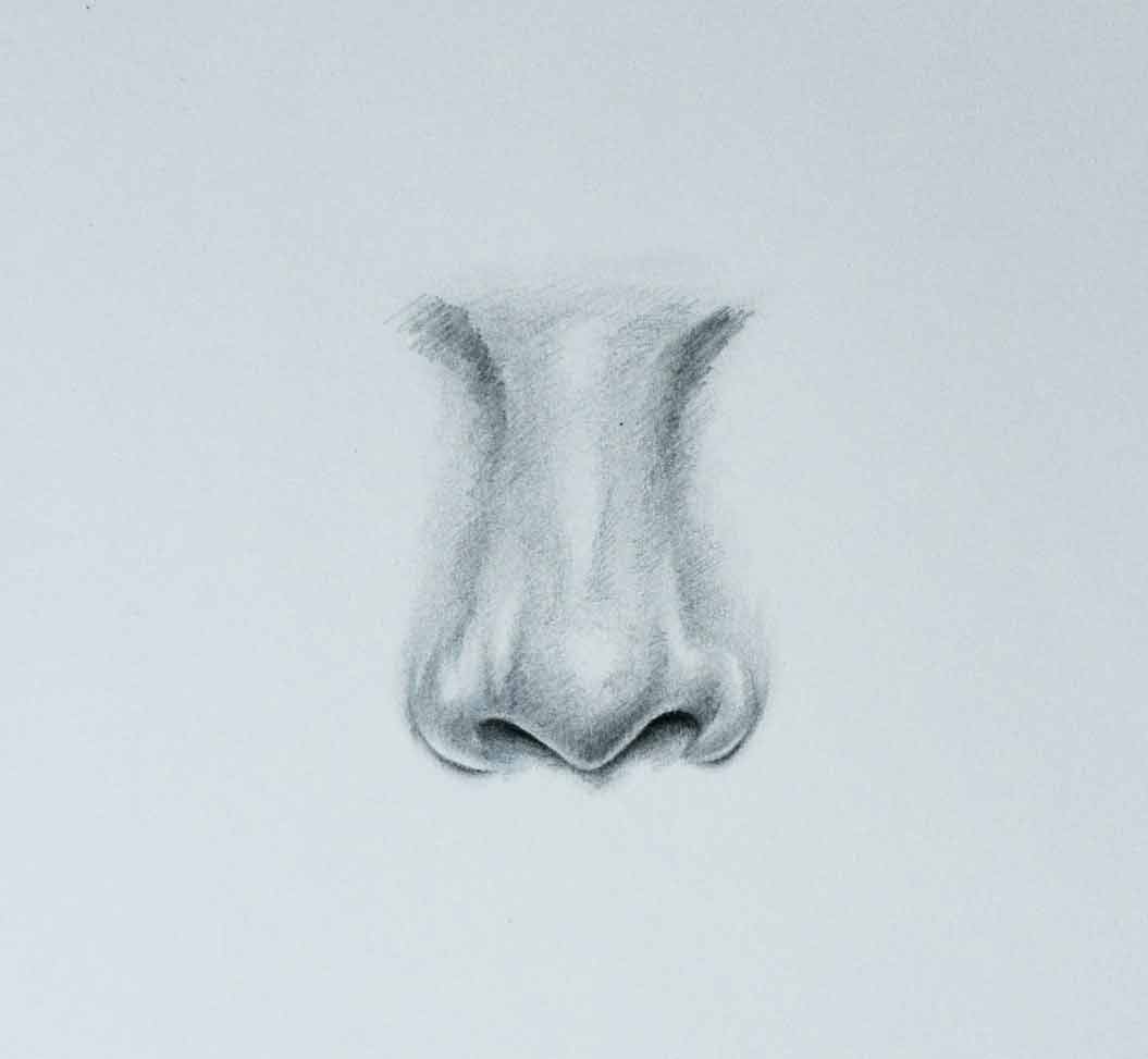 how to draw a nose step by step