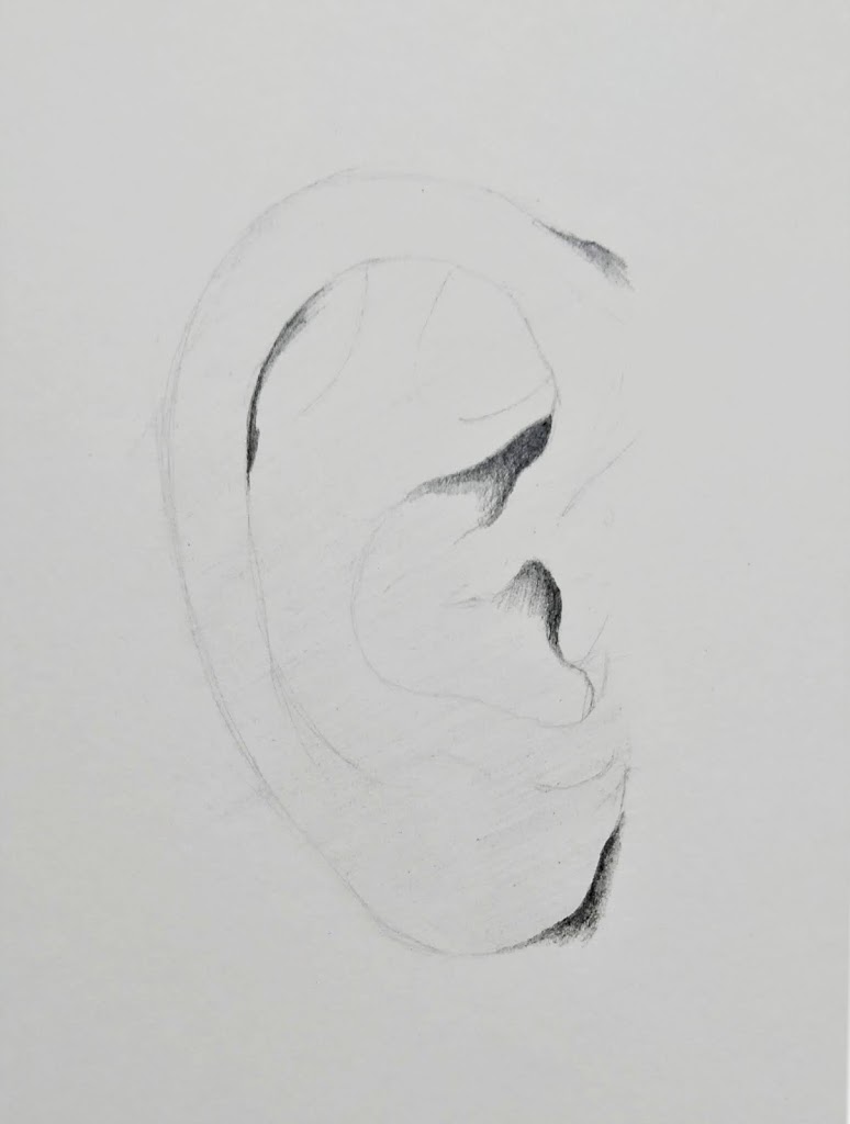 How To Draw An Ear Quickly And Easily  Paintingcreativity