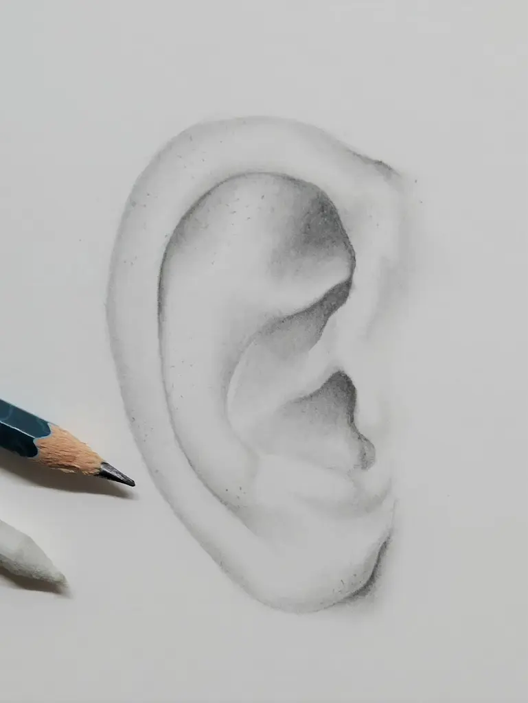 Paint Draw Paint, with Ross Bowns: Figure Drawing: Drawing an Ear Demo