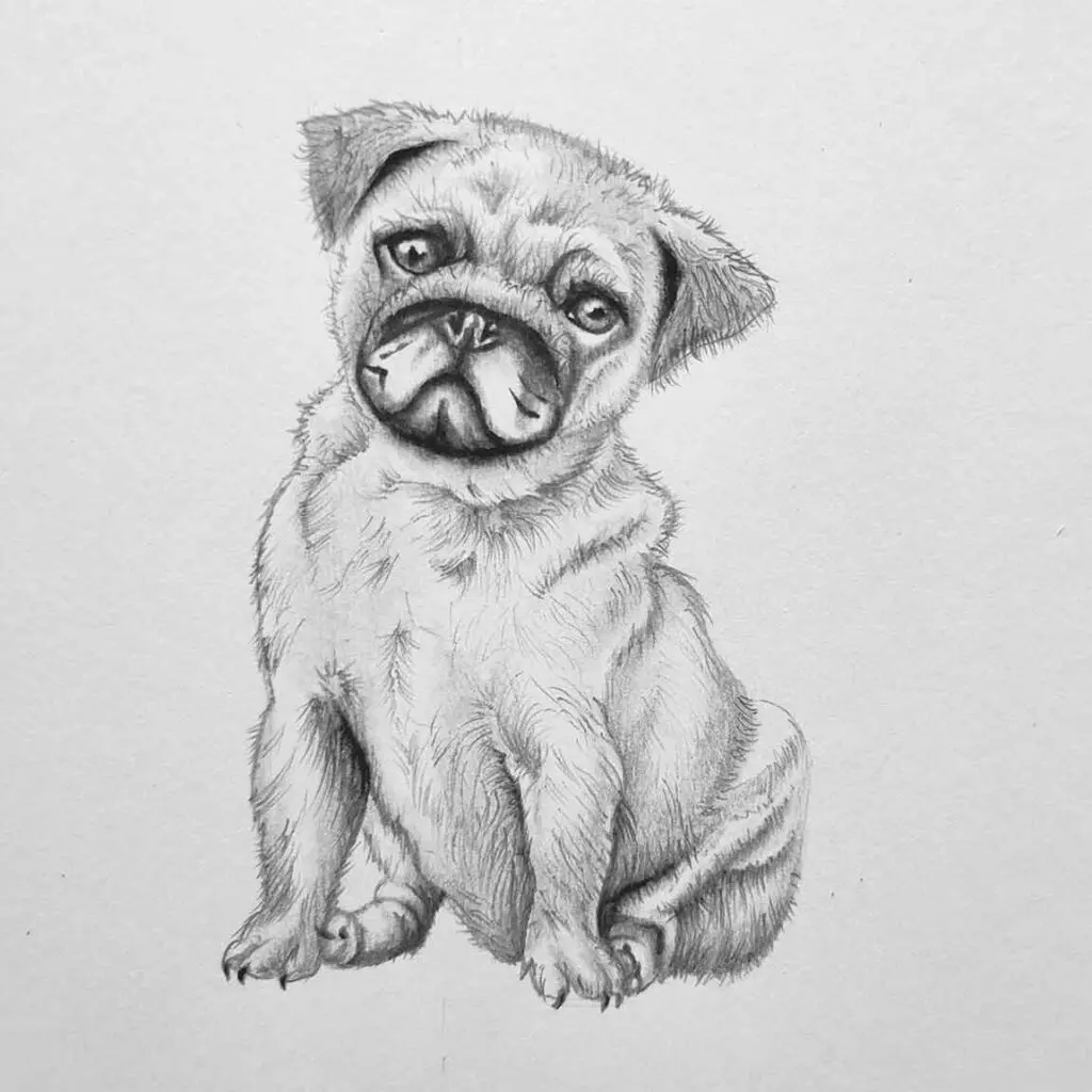 Little Animals | Cute Pencil Drawings
